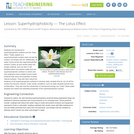 Superhydrophobicity: The Lotus Effect
