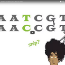 Genetics 101 (Part 2 of 5): What are SNPs?
