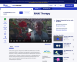 RNAi Therapy