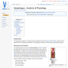 Oesophagus - Anatomy & Physiology