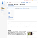 Abomasum - Anatomy & Physiology