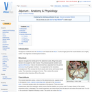 Jejunum - Anatomy & Physiology