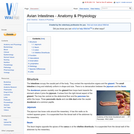 Avian Intestines - Anatomy & Physiology