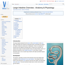 Large Intestine Overview - Anatomy & Physiology
