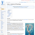 Colon - Anatomy & Physiology