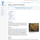 Rectum - Anatomy & Physiology