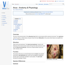 Anus - Anatomy & Physiology