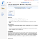 Vascular Development - Anatomy & Physiology