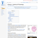 Pharynx - Anatomy & Physiology