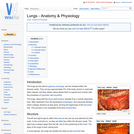 Lungs - Anatomy & Physiology