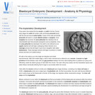Blastocyst Embryonic Development - Anatomy & Physiology