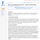 Bone & Cartilage Development - Anatomy & Physiology