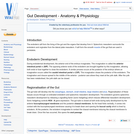 Gut Development - Anatomy & Physiology