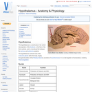 Hypothalamus - Anatomy & Physiology