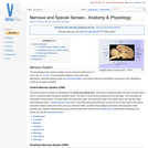 Nervous and Special Senses - Anatomy & Physiology