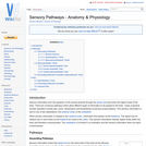 Sensory Pathways - Anatomy & Physiology