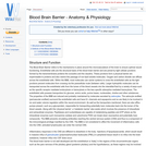 Blood Brain Barrier - Anatomy & Physiology