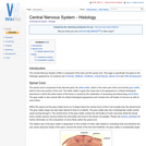 Central Nervous System - Histology