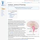Hindbrain - Anatomy & Physiology