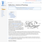 Reflex Arcs - Anatomy & Physiology