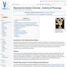 Reproductive System Overview - Anatomy & Physiology