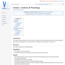 Oviduct - Anatomy & Physiology