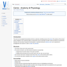 Cervix - Anatomy & Physiology