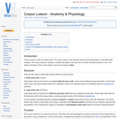 Corpus Luteum - Anatomy & Physiology