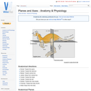 Planes and Axes - Anatomy & Physiology