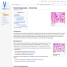 Haematopoiesis - Overview