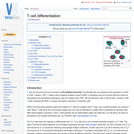 T cell differentiation