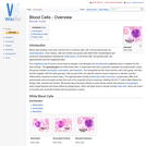 Blood Cells - Overview