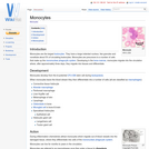 Monocytes