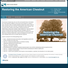 Restoring the American Chestnut