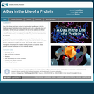 A Day in the Life of a Protein