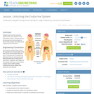 Unlocking the Endocrine System