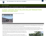 Illegal Logging: Multi-Billion Dollar Transactions Hiding in Plain Sight