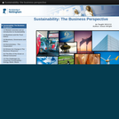 Sustainability: the business perspective