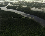 CFR InfoGuide: Deforestation in the Amazon