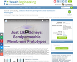Just Like Kidneys: Semipermeable Membrane Prototypes