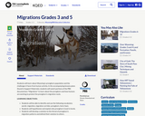 Migrations Grades 3 and 5