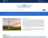 Sustainability and Non-Market Enterprise