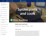 Spider parts and tools