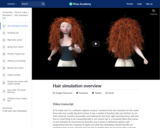 Hair simulation overview