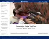 Conservation: Playing Tipu’s Tiger