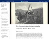 P.H. Emerson's naturalistic photography