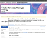 Cellular Microscopy Phenotype Ontology: Quick tour