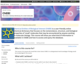 ChEBI: The online chemical dictionary for small molecules