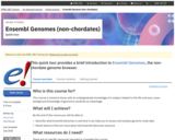 Ensembl Genomes (non-chordates): Quick tour