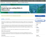 Exploring non‐coding RNAs in RNAcentral